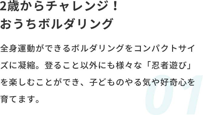 2歳からチャレンジ！おうちボルダリング 全身運動ができるボルダリングをコンパクトサイズに凝縮。登ること以外にも様々な「忍者遊び」を楽しむことができ、子どものやる気や好奇心を育てます。