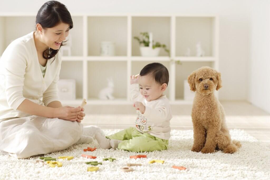 知育玩具で遊ぶ親子と犬