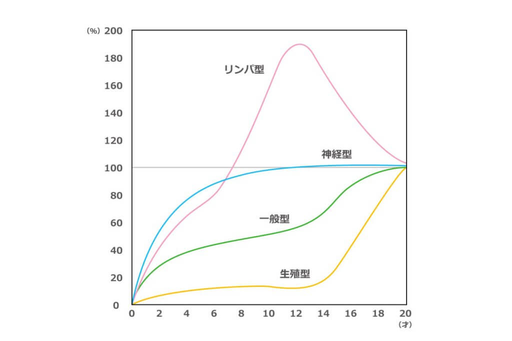 スキャモンの発達発育曲線